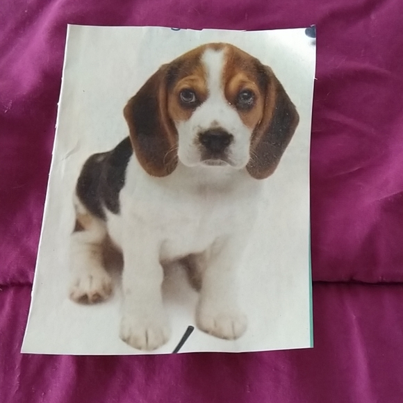 Meet your Posher, Mary - Picture 1 of 1